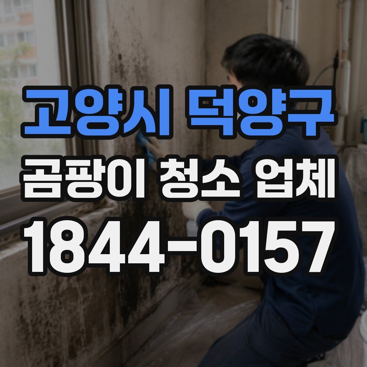 고양시 덕양구 곰팡이 청소 업체 활용 전 알아두면 좋은 점
