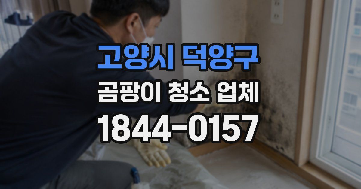 고양시 덕양구 곰팡이 청소 업체