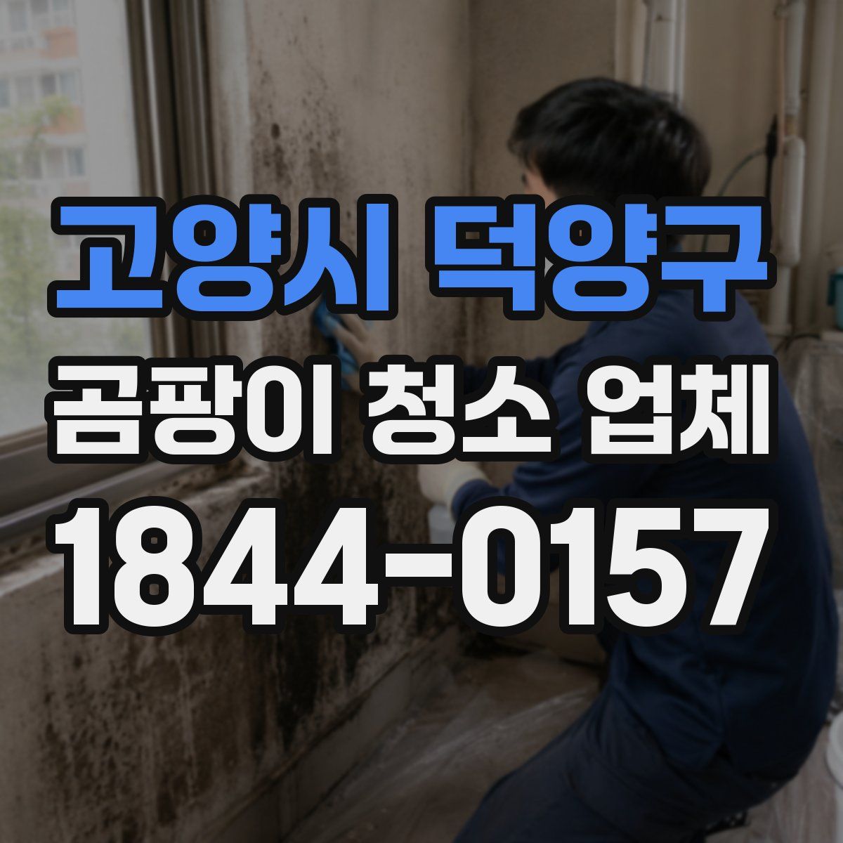 고양시 덕양구 곰팡이 청소 업체