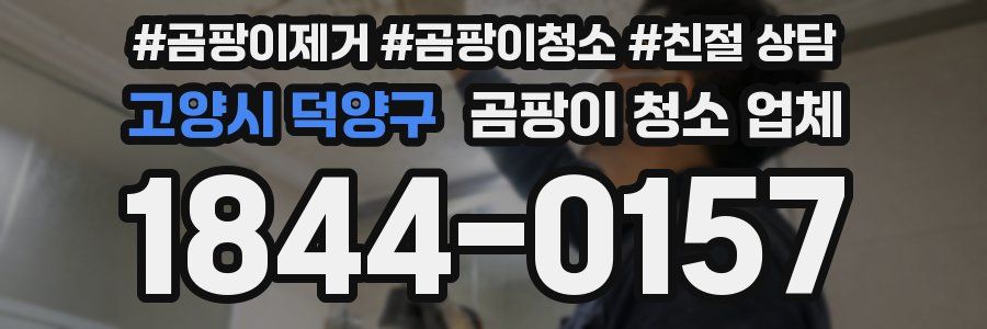 고양시 덕양구 곰팡이 청소 업체