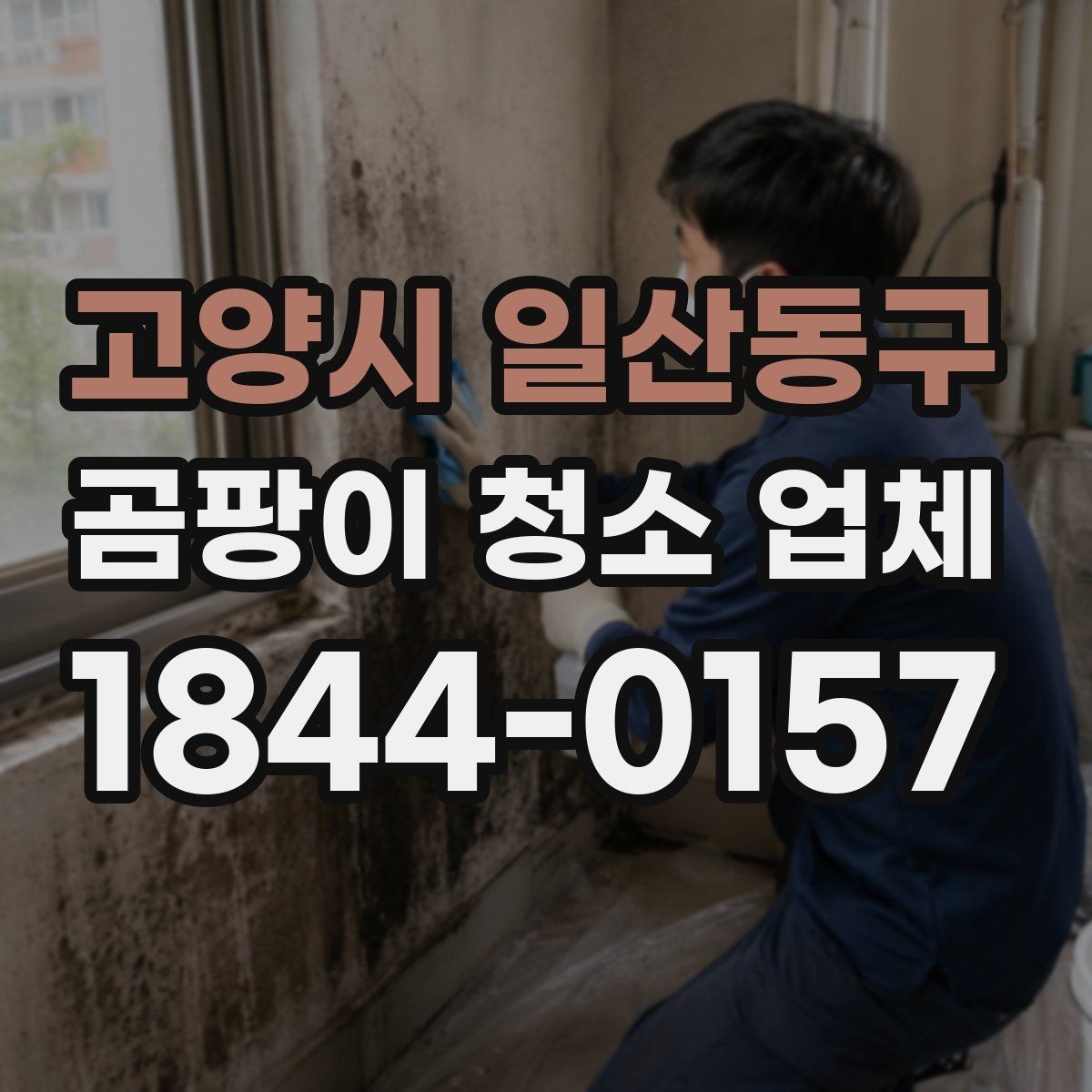 고양시 일산동구 곰팡이 청소 업체 상담 시 자주 묻는 질문