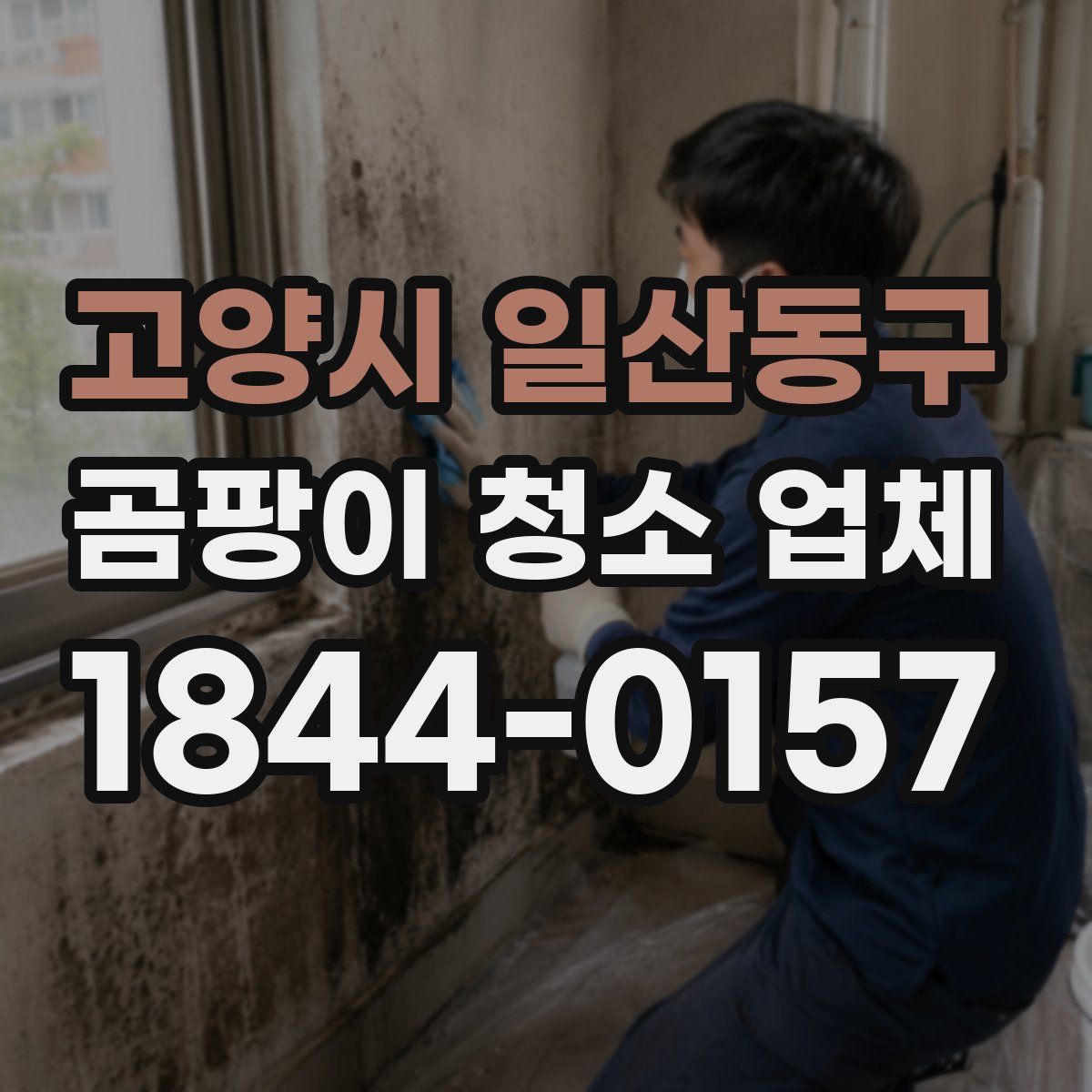 고양시 일산동구 곰팡이 청소 업체