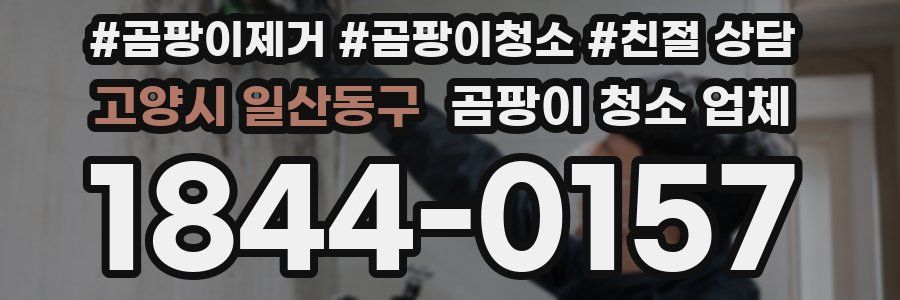 고양시 일산동구 곰팡이 청소 업체