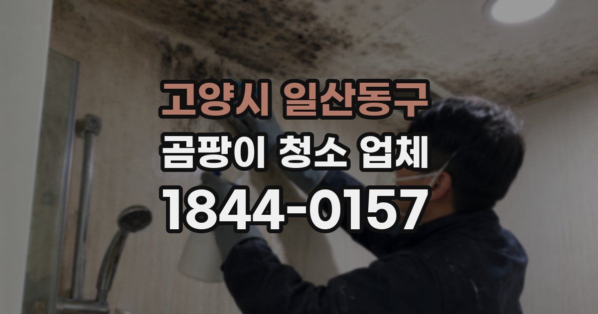 고양시 일산동구 곰팡이 청소 업체