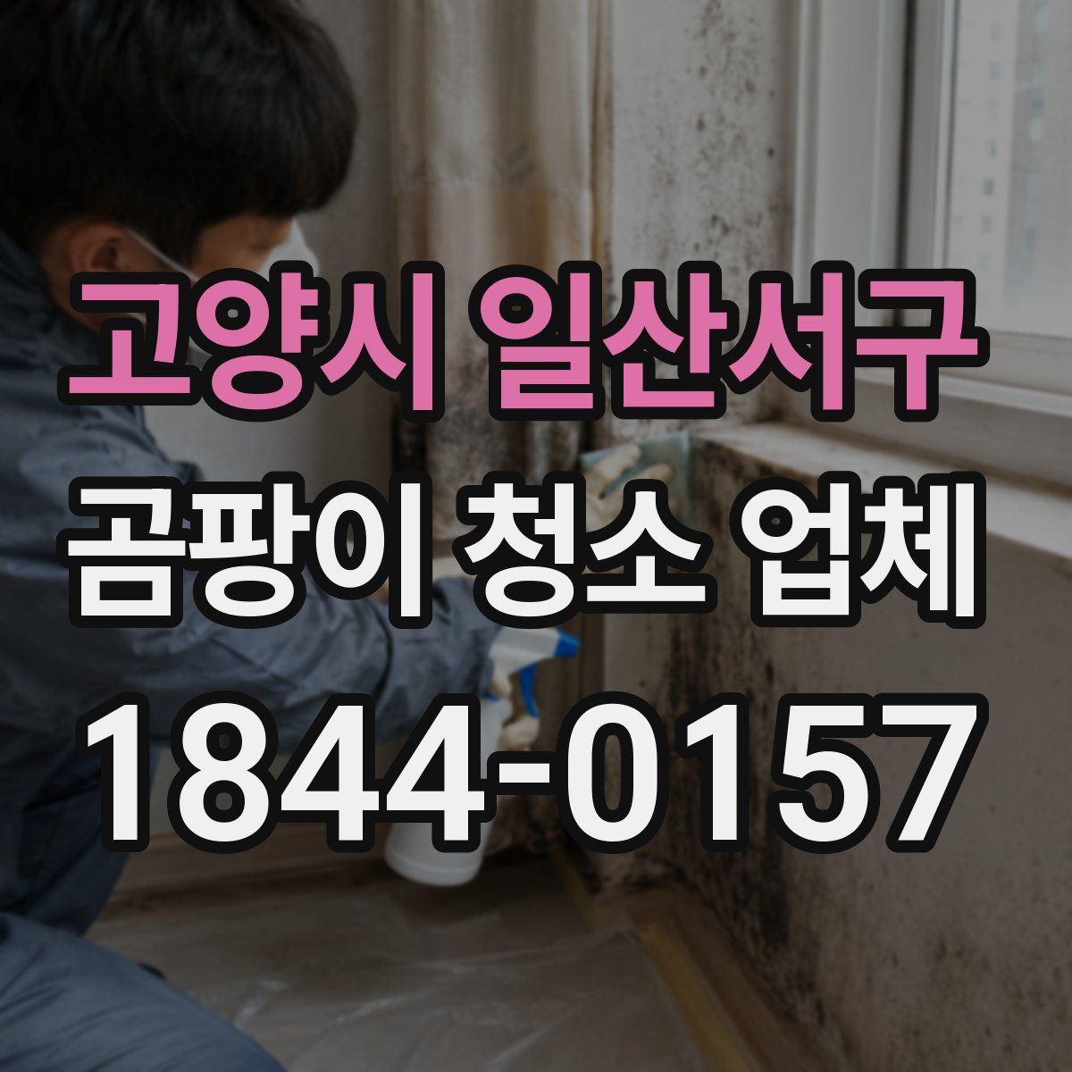 고양시 일산서구 곰팡이 청소 업체