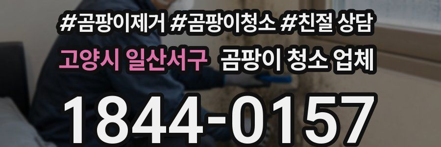 고양시 일산서구 곰팡이 청소 업체