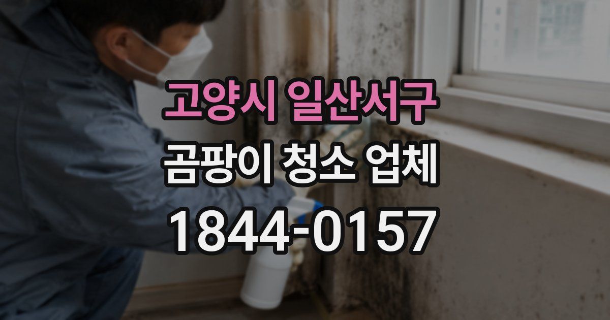 고양시 일산서구 곰팡이 청소 업체
