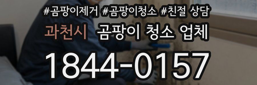 과천시 곰팡이 청소 업체