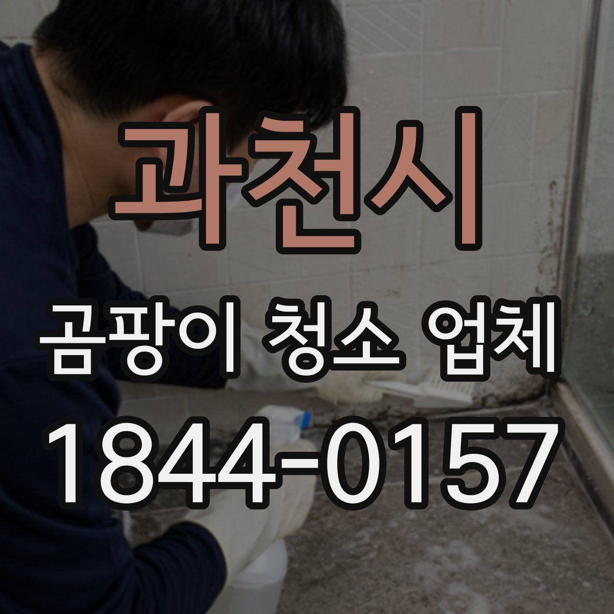 과천시 곰팡이 청소 업체
