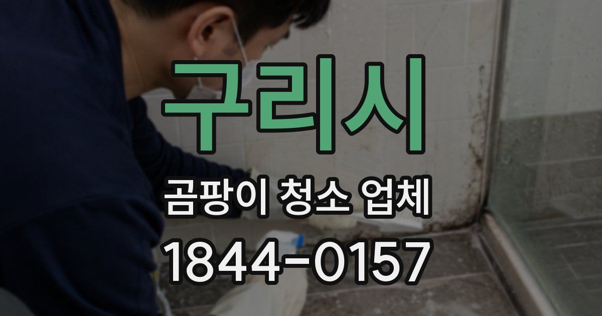 구리시 곰팡이 청소 업체