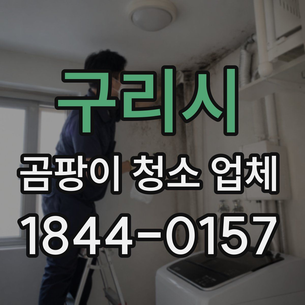 구리시 곰팡이 청소 업체