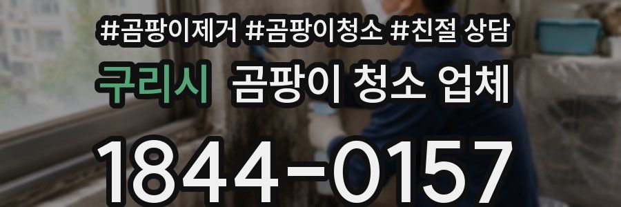 구리시 곰팡이 청소 업체