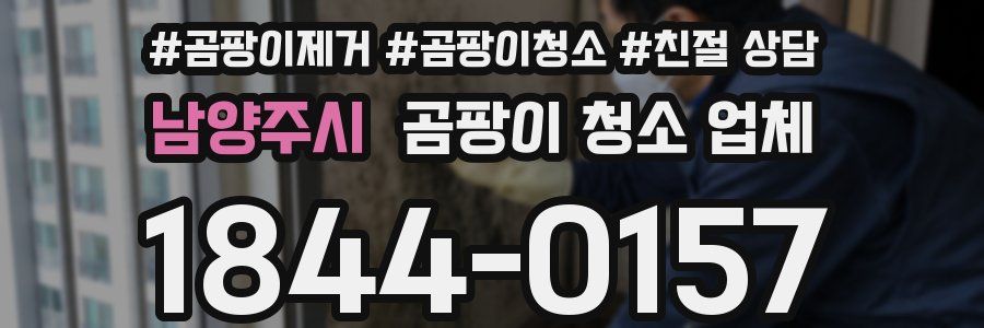 남양주시 곰팡이 청소 업체