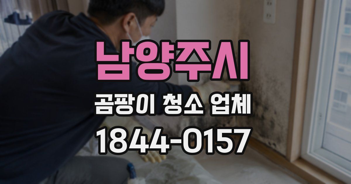 남양주시 곰팡이 청소 업체