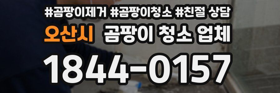 오산시 곰팡이 청소 업체