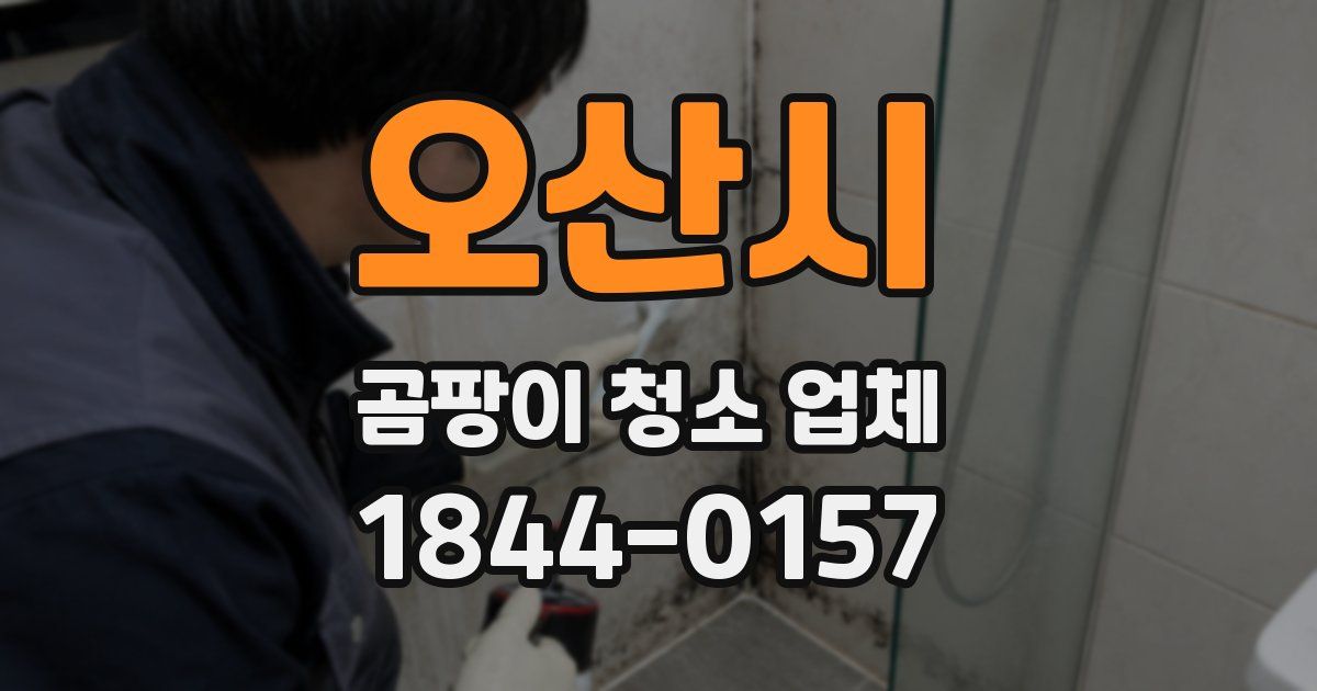 오산시 곰팡이 청소 업체