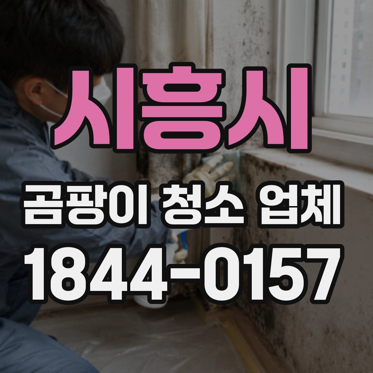 시흥시 곰팡이 청소 업체