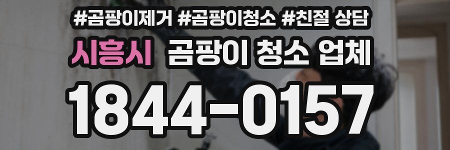 시흥시 곰팡이 청소 업체