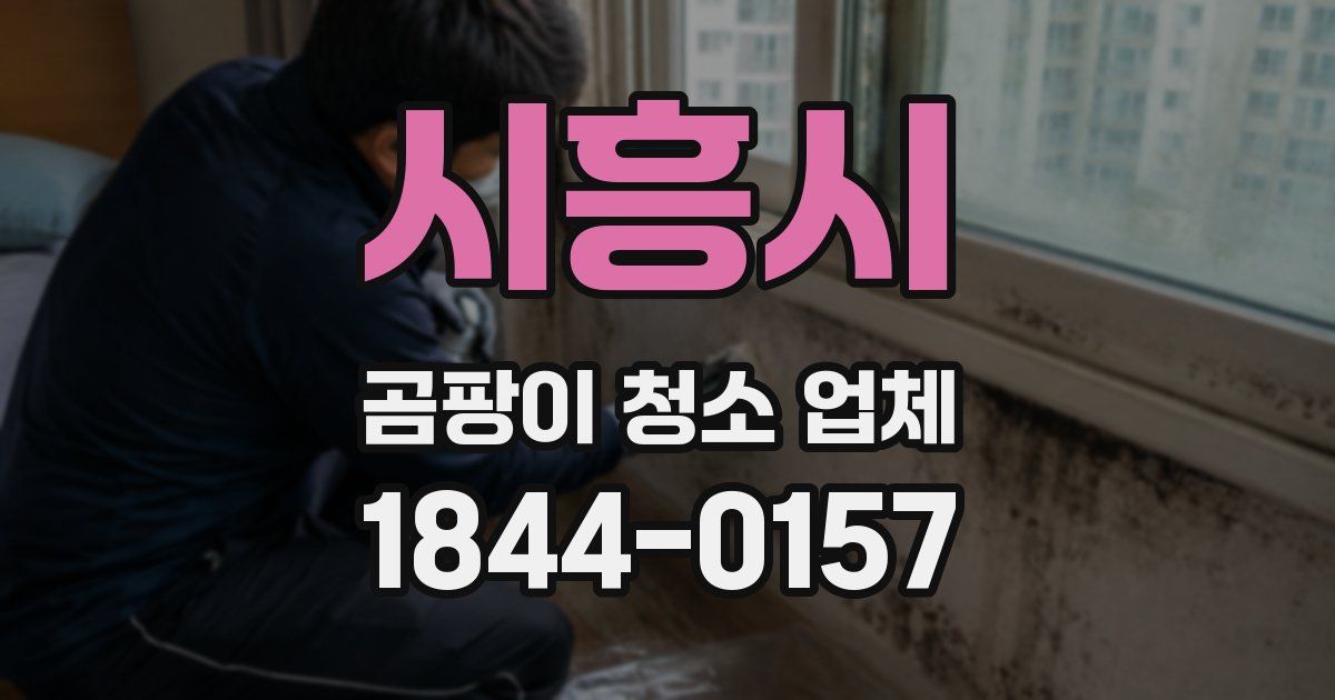 시흥시 곰팡이 청소 업체