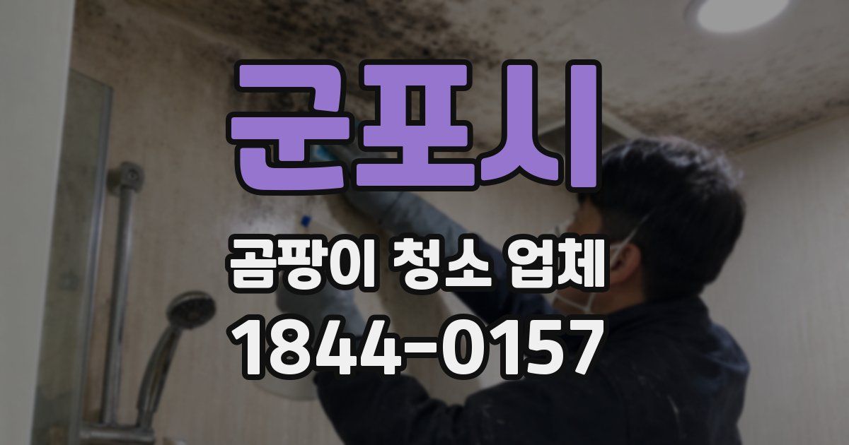 군포시 곰팡이 청소 업체