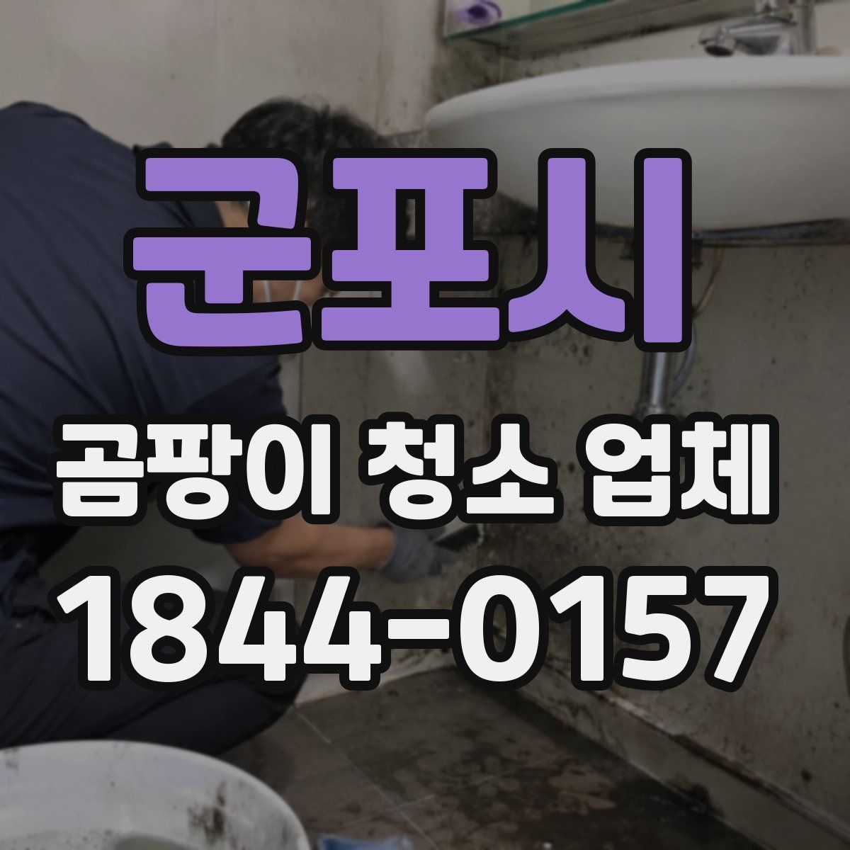 군포시 곰팡이 청소 업체