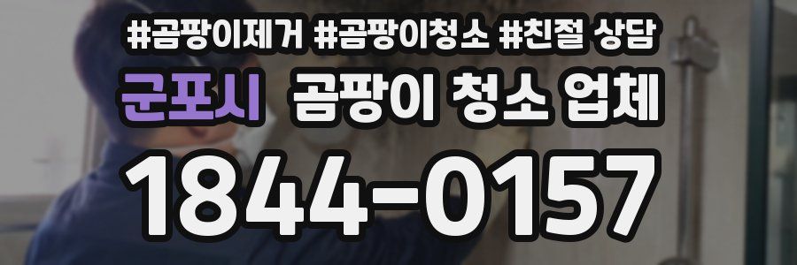 군포시 곰팡이 청소 업체
