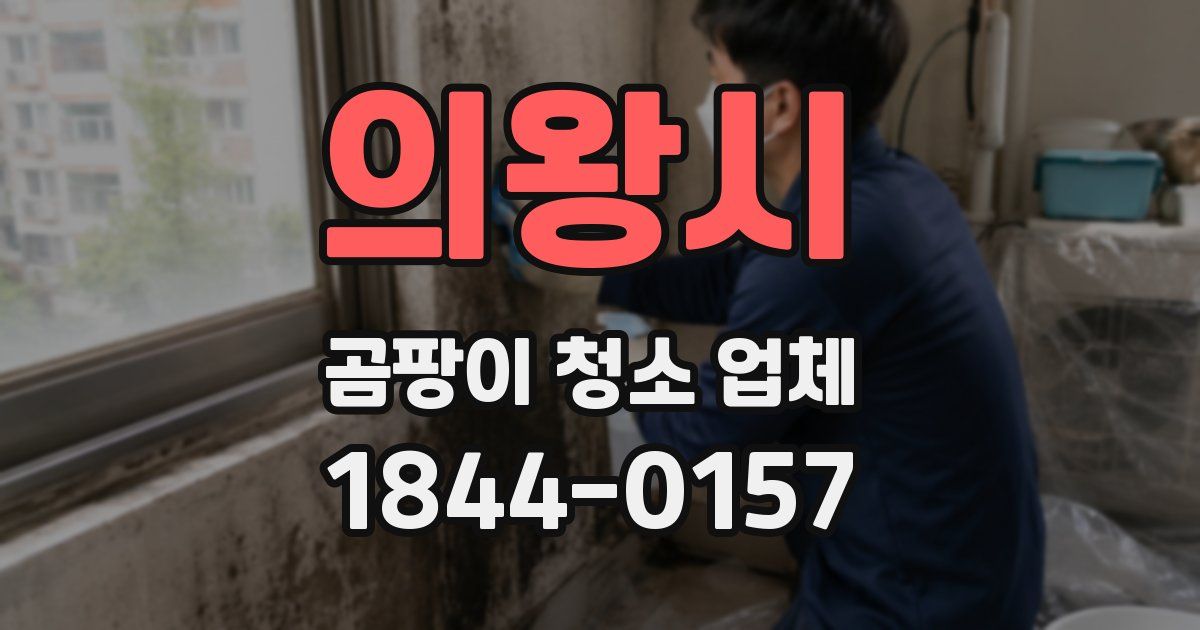의왕시 곰팡이 청소 업체