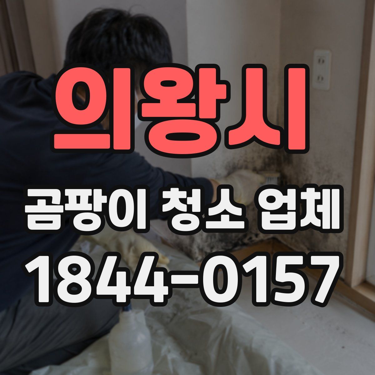 의왕시 곰팡이 청소 업체