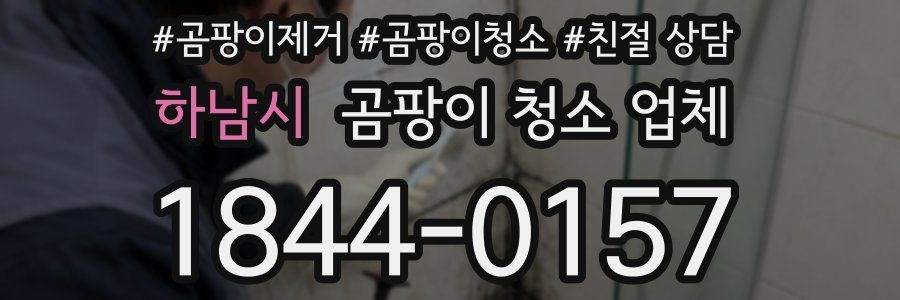 하남시 곰팡이 청소 업체