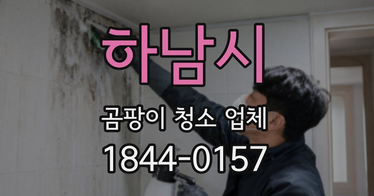하남시 곰팡이 청소 업체