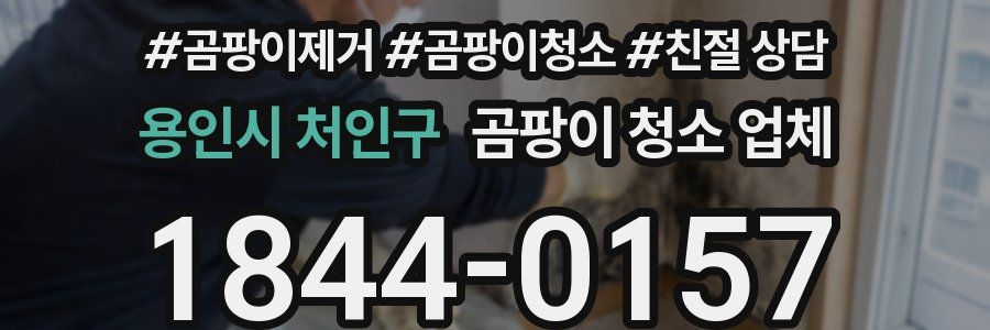 용인시 처인구 곰팡이 청소 업체