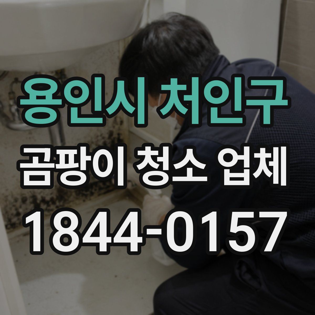 용인시 처인구 곰팡이 청소 업체
