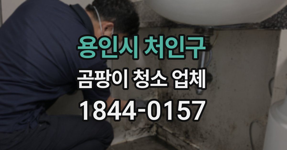 용인시 처인구 곰팡이 청소 업체