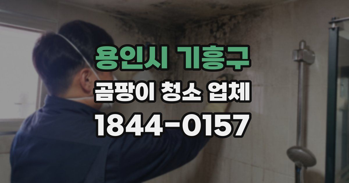 용인시 기흥구 곰팡이 청소 업체