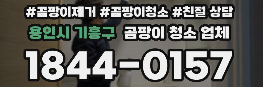 용인시 기흥구 곰팡이 청소 업체