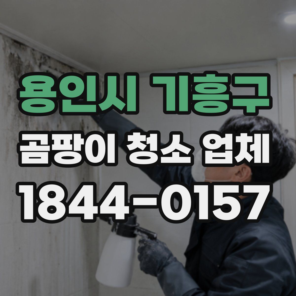용인시 기흥구 곰팡이 청소 업체