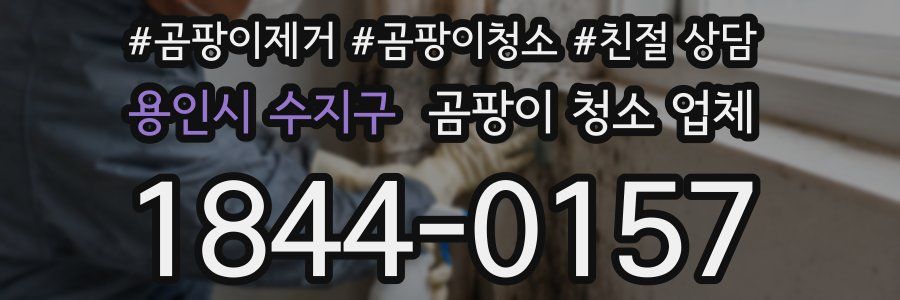 용인시 수지구 곰팡이 청소 업체