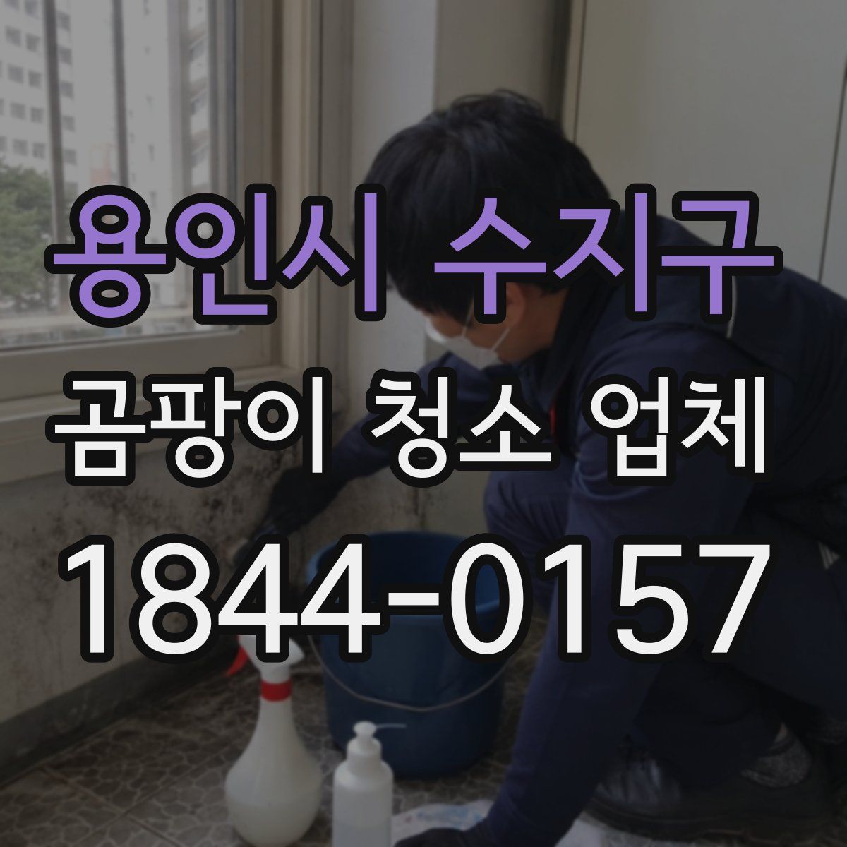 용인시 수지구 곰팡이 청소 업체