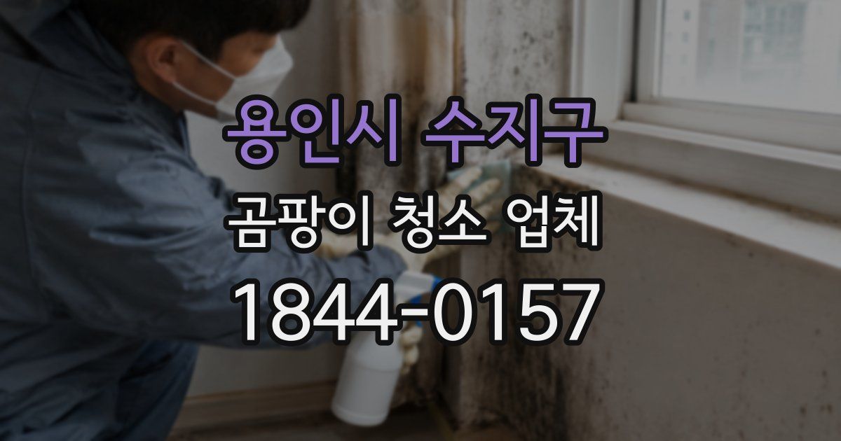 용인시 수지구 곰팡이 청소 업체