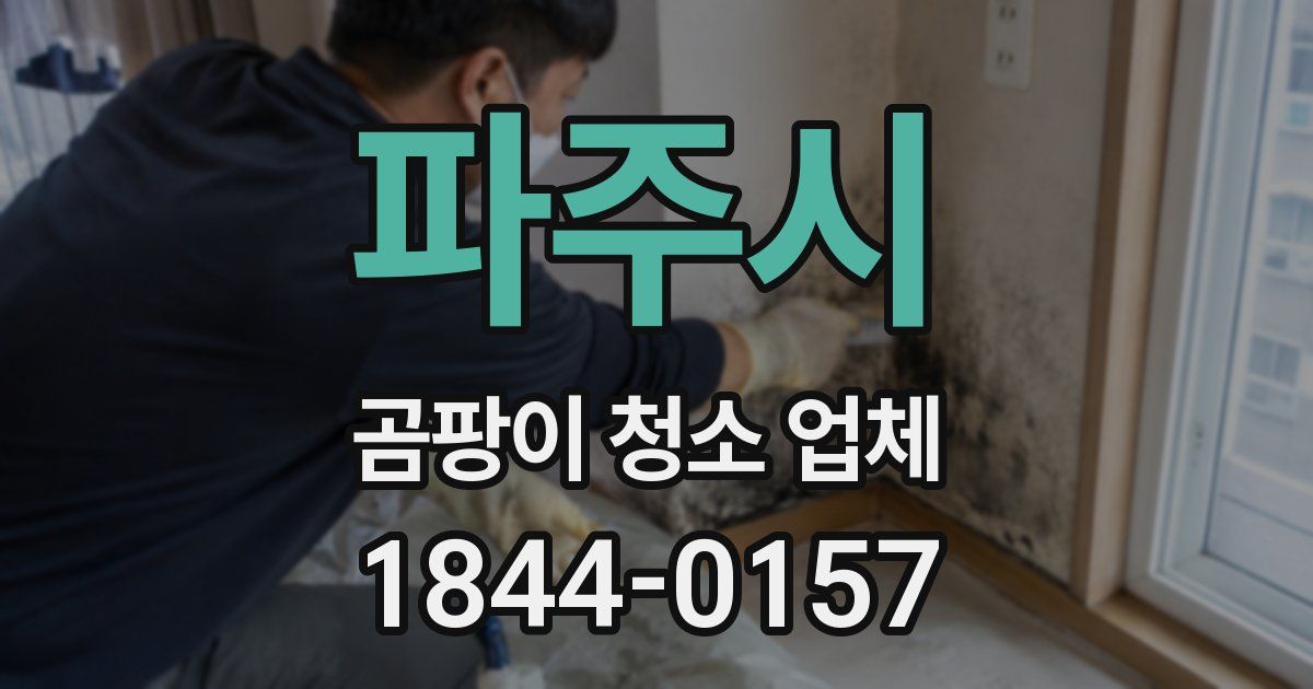 파주시 곰팡이 청소 업체