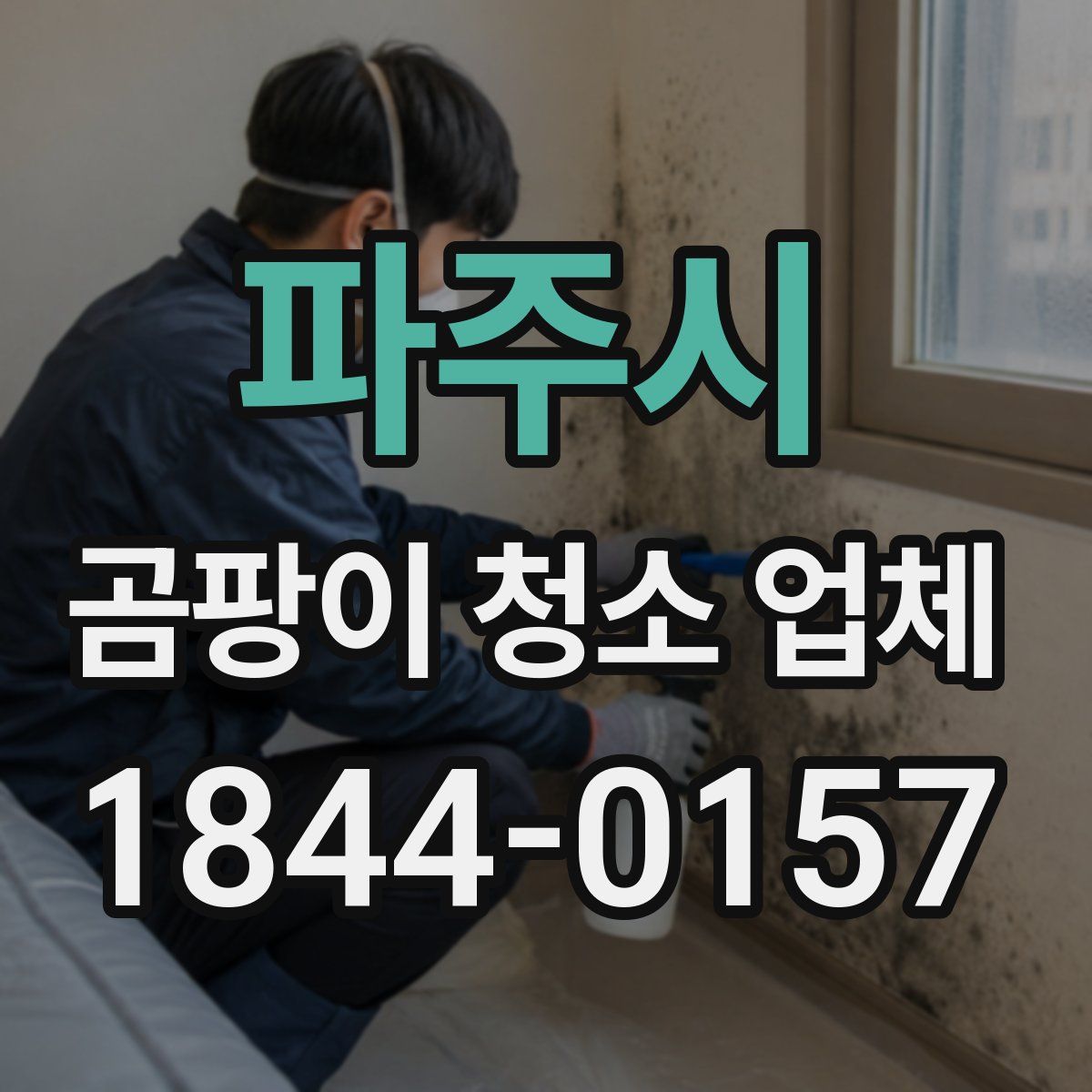 파주시 곰팡이 청소 업체