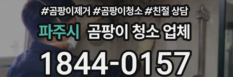 파주시 곰팡이 청소 업체
