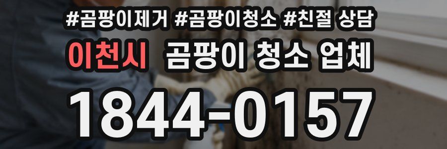 이천시 곰팡이 청소 업체