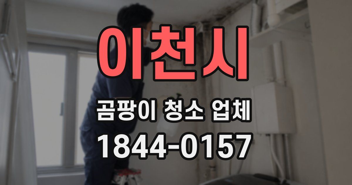 이천시 곰팡이 청소 업체
