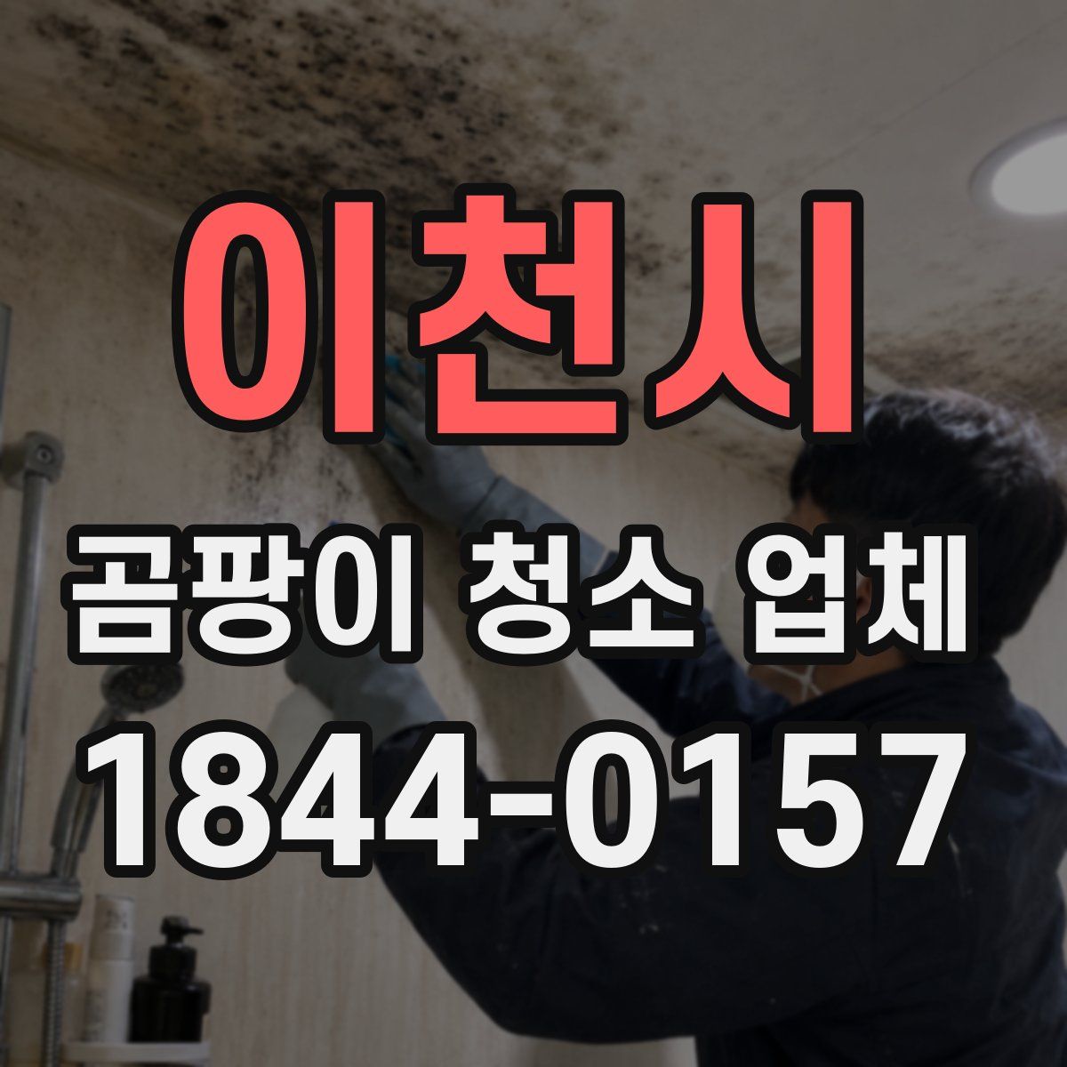 이천시 곰팡이 청소 업체