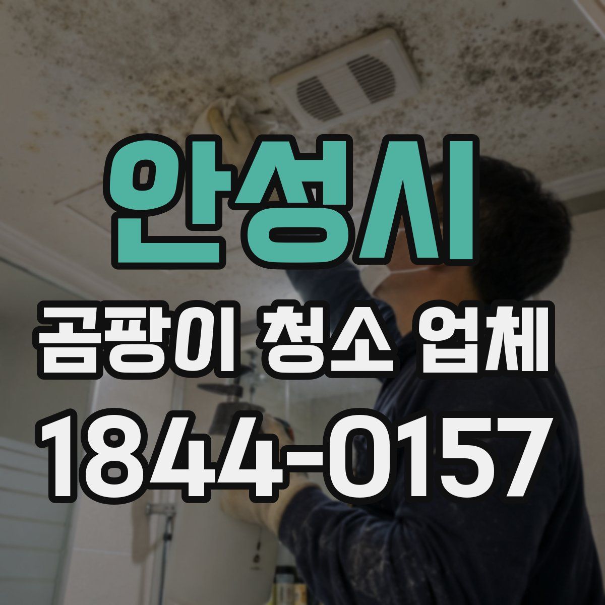 안성시 곰팡이 청소 업체