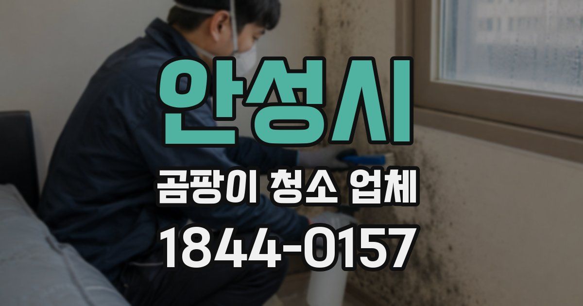 안성시 곰팡이 청소 업체