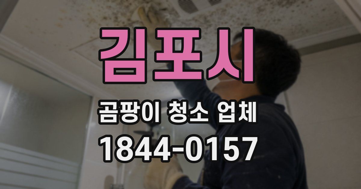 김포시 곰팡이 청소 업체