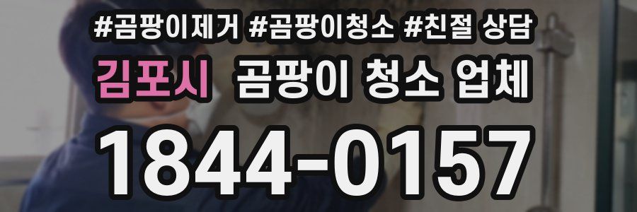 김포시 곰팡이 청소 업체