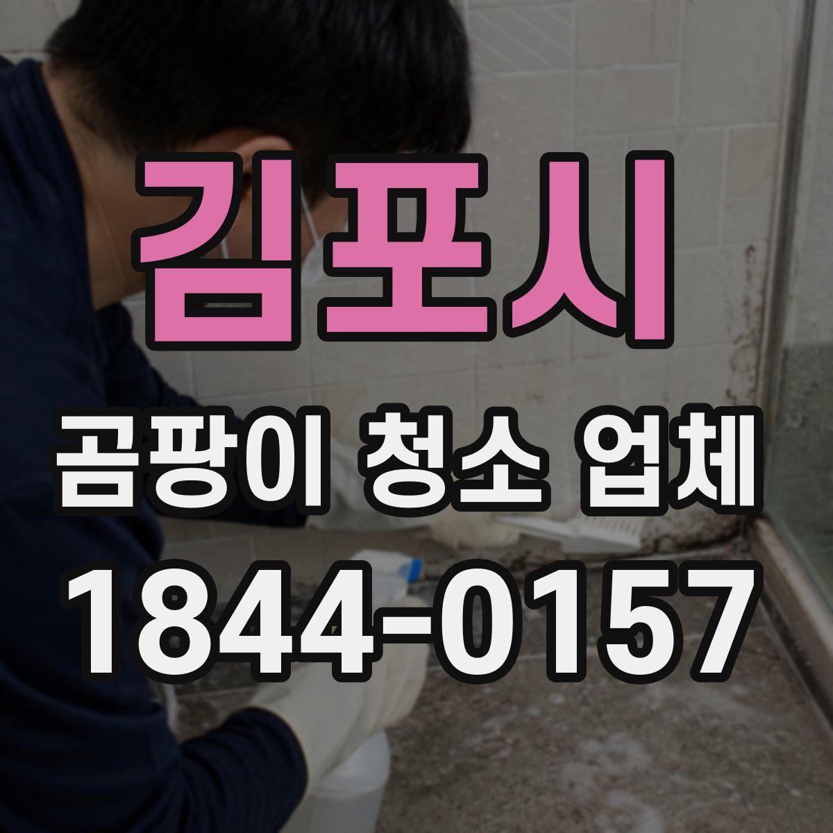 김포시 곰팡이 청소 업체
